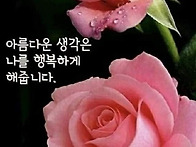 황혼의 멋진 삶 ㅣ건강