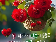 행복한 아침! &#12829..