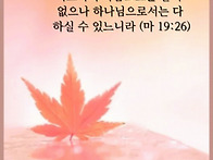 인생 후반전