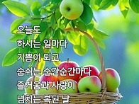 항상 고마워요