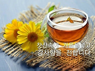 사랑, 행복, 건강 모두 당..