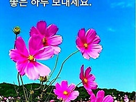 가고 오는 세월
