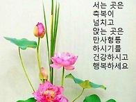 인생은 80부터