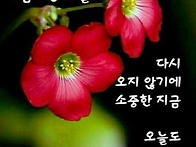지혜롭다
