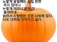 많이 덥지요