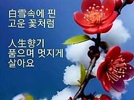 이렇게 살아가게 하소서