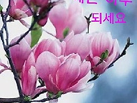 여름 사랑