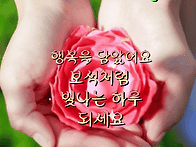 코스모스 피는 길