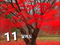 어떤 묘비의 글