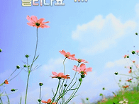 가을이 오는 길목에서