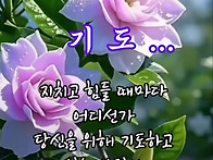 건강한 여름 보내세요