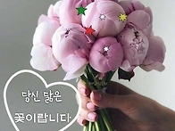 살아 가는 하루가 큰 기적