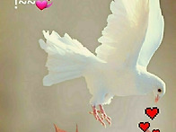 중국인이 석굴암을 가보고..