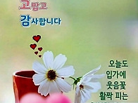 4월 21일 행복한 화요일 ..