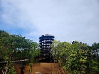 안성 금광호수 전망대에서