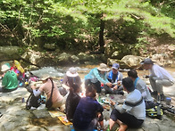 금수산 능강계곡(얼음골)