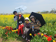 유채꽃 축제와 개비리길