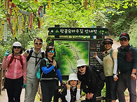정선 항골 숨바우길