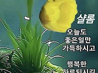 오늘도 건강 행복 하세요