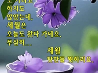 행복한 하루 되세요