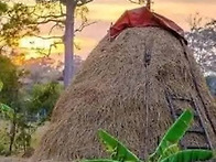 라오스 북부지역의 농업 ..