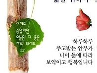 아름다운 삶을 위하여