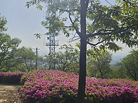 26.4/25.토 파주 월롱산 ..