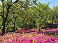 26.4/25.토 파주 월롱산 ..