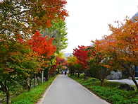 * 장성 백암산의 秋季