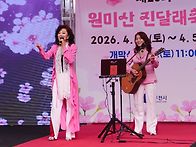 #부천원미산진달래축제