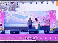 #여주흥천남한강벚꽃축제