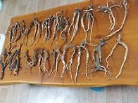 폐암치료사례 [비..