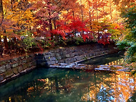 25.11.15 정기산행 장태산