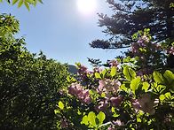 5월30일《토》금요..