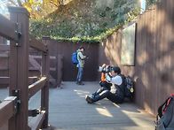 2025년 11월 15일 (토)..