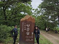 2026년7월11일 아침가리골..