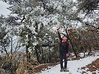 2026년3월6일금요일소레산