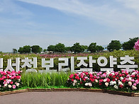 8일부터 오는 10일까지 칠..