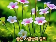 2025년05월20일..