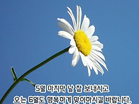 2026년 05월31일..