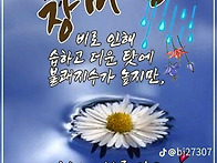 2026년 07월19일..