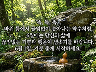 2026년 06월01일..