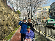 04.03 [ 봄나들이 ]