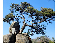 제866차 5월 정기산행
