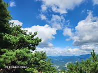 왕산&필봉산 사진4