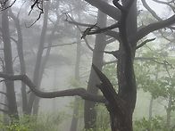 공작산