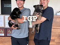 2023.07월 샤론X승리 자견