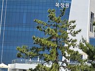 영도섬 산행
