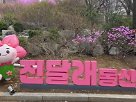 원미산진달래