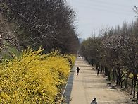 노을공원 4월4일..